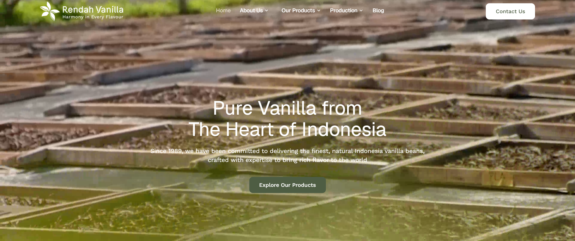 Quality Assurance Website di Timedoor